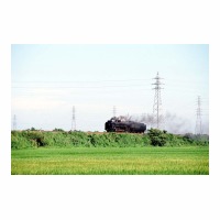 D51498 SL˥ ž Φ-Φ