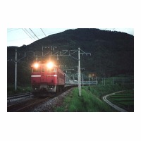 EF7115 20 ׻޹ 