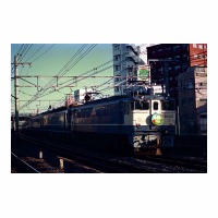 ŷ  EF651017 ë