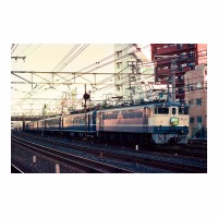 ŷ EF651017 ë