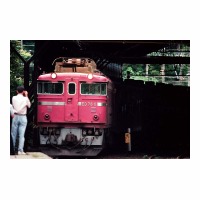 ED786 ë