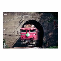 EF716 ̤쥹åХå -ִ ȥͥ