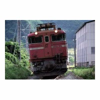 ED788ʪ 