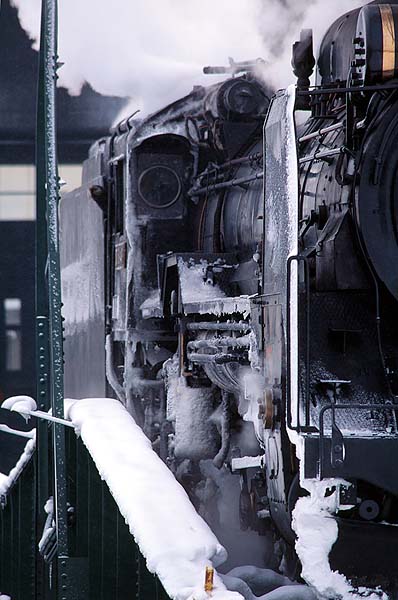 D51498 ż㾾