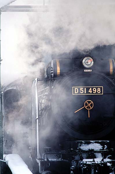 D51498 ż㾾