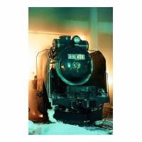 D51498 ż㾾