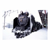 D51498 ر ż㾾