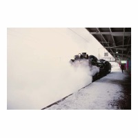 D51498 ر ż㾾