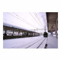 D51498 ر ż㾾