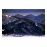 D51498 ر  -