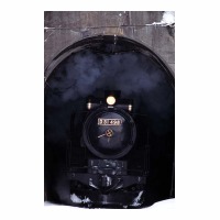 D51498 ر 滳-¾