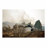 D51498 ֤äȤ Į-