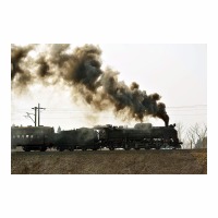 D51498 ֤äȤ Į-