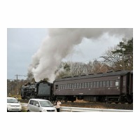 D51498 Ĺ-Į