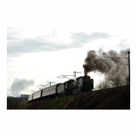 D51498 ֤äȤ Į-