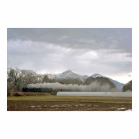 D51498 