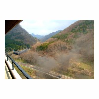 D51498 ۥƥڤ  Ǯ-滳