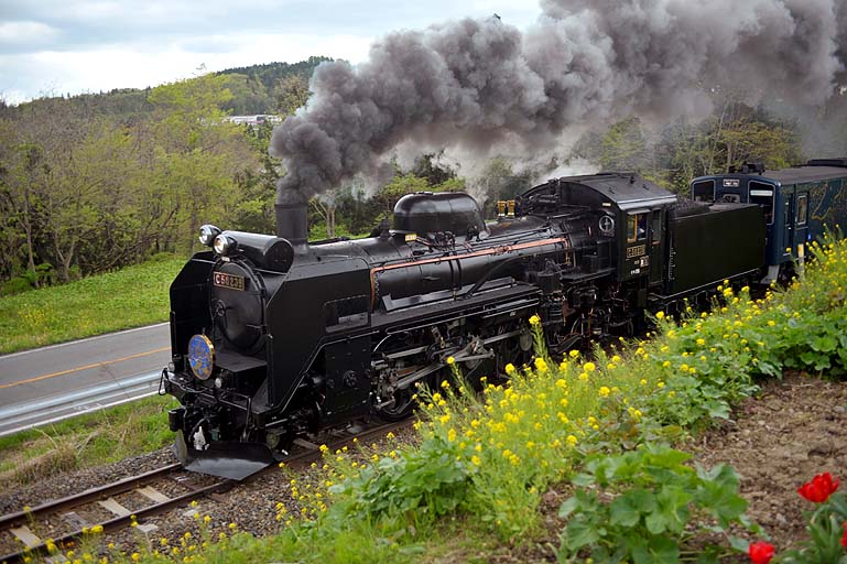 C58239 SL -京