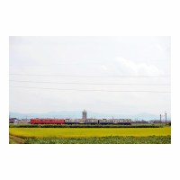 2525D -