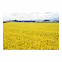 C58239 SLȡDC ž -