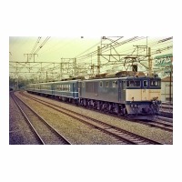 EF641013 ̥޺  
