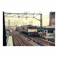 EF641016 