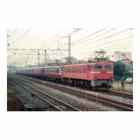 EF81 󥨥쥹 ̾