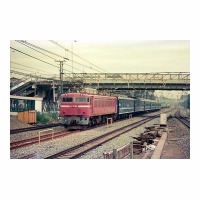 EF81 81 ߥȺ դ줢 ̾