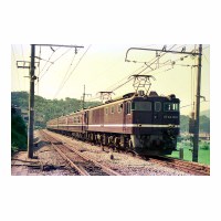 EF641001 Ĥ -