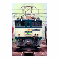 EF641010 ḫض
