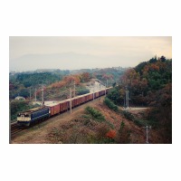 EF65PF ʪ