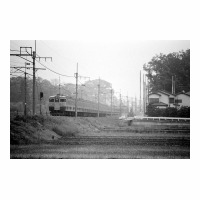 562M 115 -ϡ