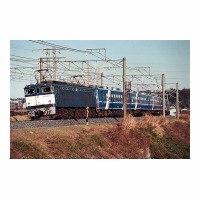 EF6439  ʤ䤫 Į-